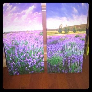 Beautiful hand made canvases